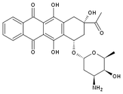 Idarubicin