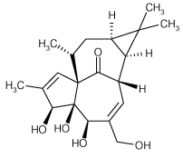Ingenol