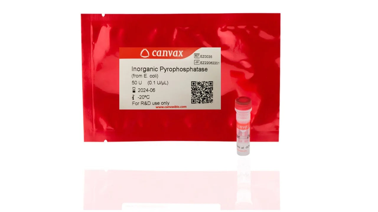 Inorganic Pyrophophatase (100 U/ml)
