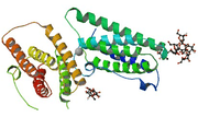 Recombinant Human IFNγ (CHO)