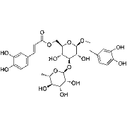 Isoacteoside