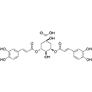 Isochlorogenic-acid-A