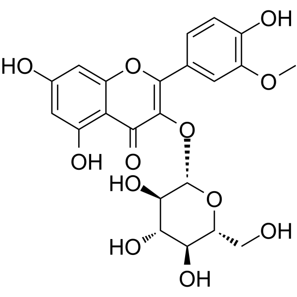 Isorhamnetin-3-O-β-D-Glucoside