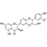 Isosilybin