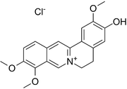 Jatrorrhizine chloride