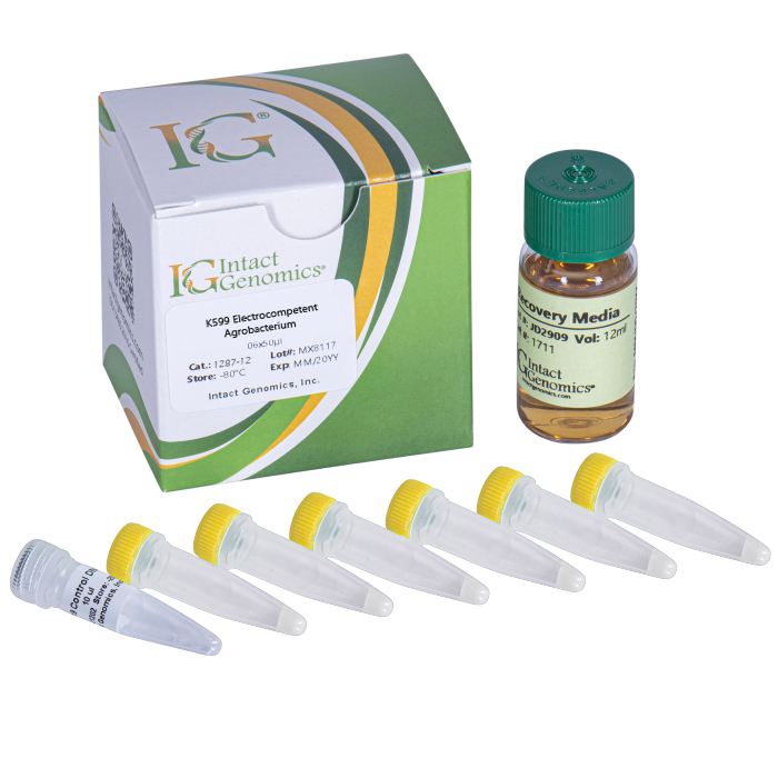 K599 Agrobacterium ElectroCompetent Cells