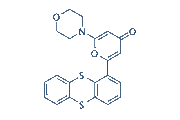 KU-55933 chemical structure