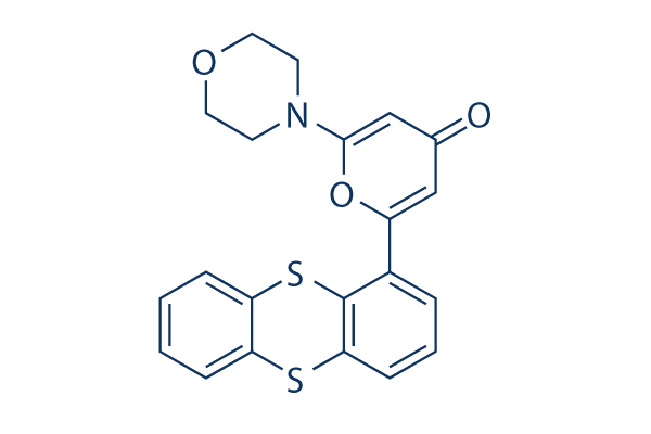 KU-55933 chemical structure