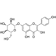 Kaempferol-7-O-β-D-glucopyranoside