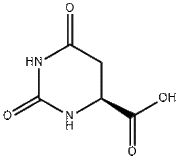 L-Dihydroorotic acid