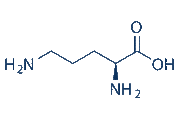 L-Ornithine