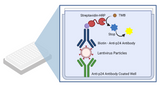 Lentivirus Titer p24 ELISA Kit