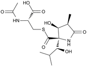 Lactacystin