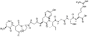 Laminin (925-933)