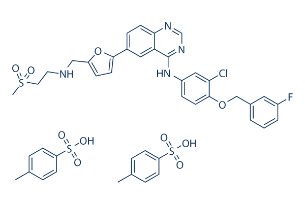 Lapatinib Ditosylate chemical structure