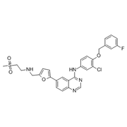 Lapatinib