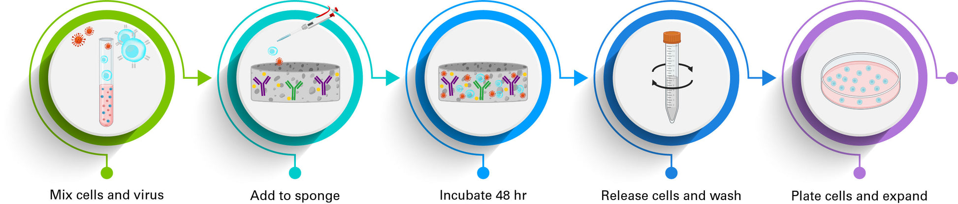 Lenti-X T-Cell Transduction Sponge - Gene function - Takara Bio