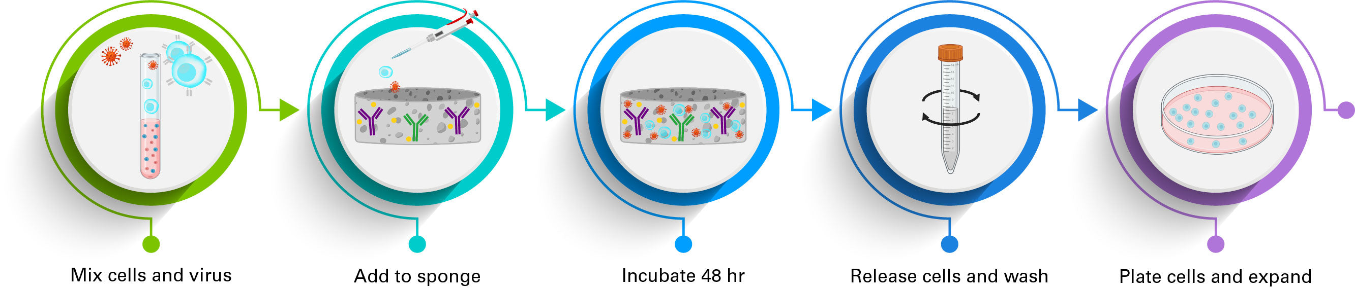 Lenti-X T-Cell Transduction Sponge - Gene function - Takara Bio