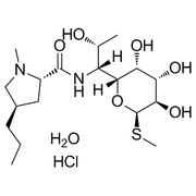 Lincomycin hydrochloride monohydrate
