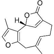 Linderalactone