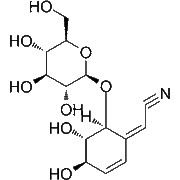 Lithospermoside