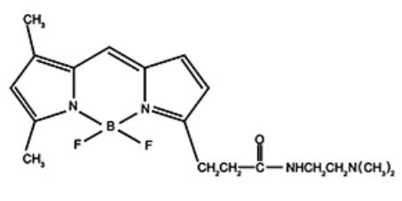 Green DND-26