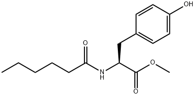 MHP