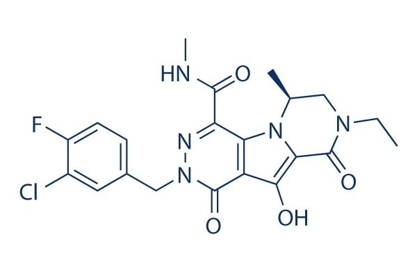 MK-2048 chemical structure