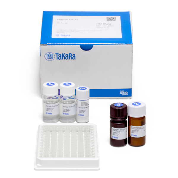 Laminin detection - Antibodies and ELISA - Takara Bio