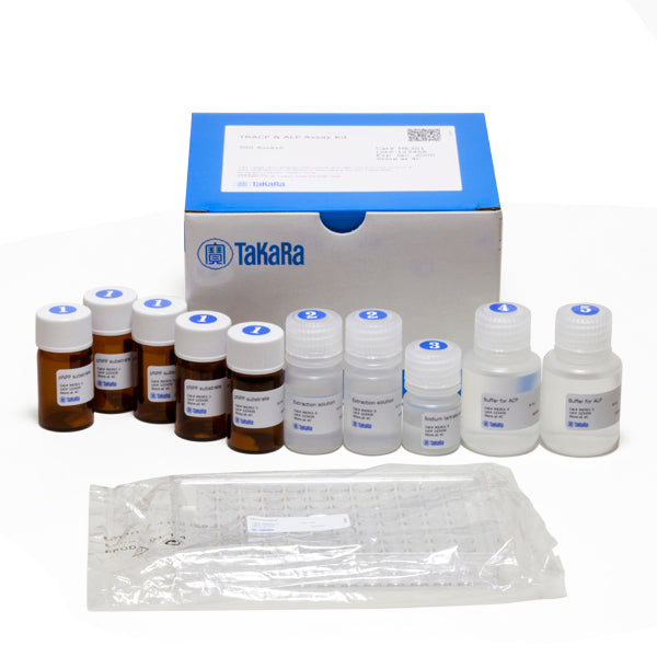 Tartrate-resistant acid phosphatase (TRACP) and alkaline phosphatase (ALP) detection - Antibodies and ELISA - Takara Bio
