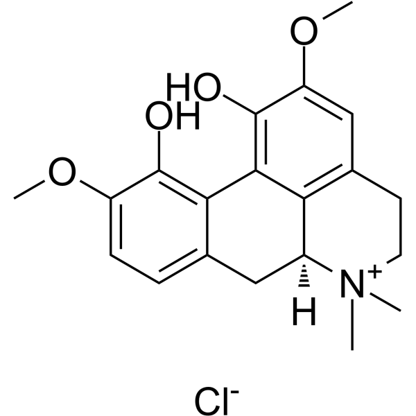 Magnoflorine-chloride