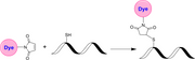XFD532 C5 Maleimide - AAT Bioquest