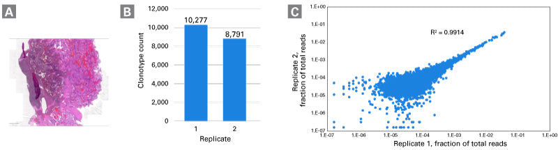 MaxiSeq Human FFPE TCR+BCR (with UMIs) - Next-generation sequencing - Takara Bio