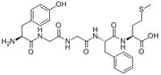 Met-Enkephalin