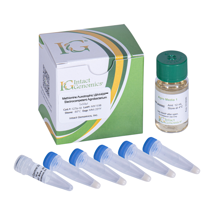 Methionine Auxotrophic LBA4404 Agrobacterium ElectroCompetent Cells