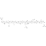 Myosin H Chain Fragment, mouse acetate