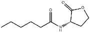 N-Hexanoyl-L-homoserine lactone