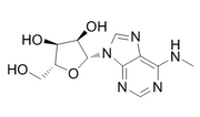 N6-Methyladenosine