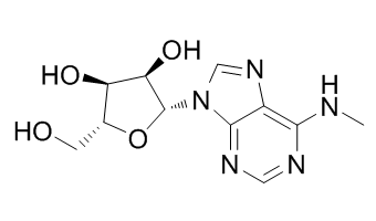 N6-Methyladenosine