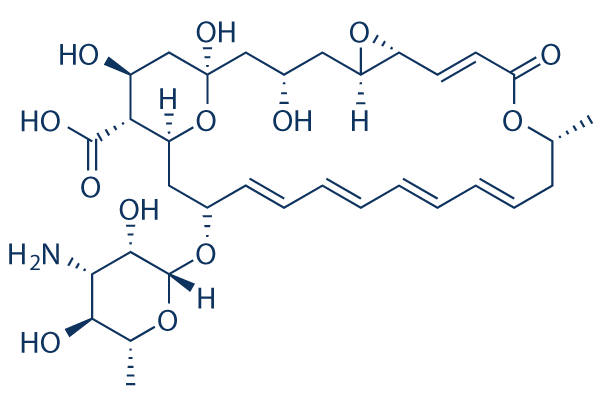 Natamycin chemical structure