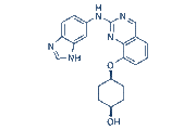 NCB-0846