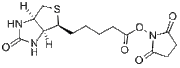 NHS-Biotin