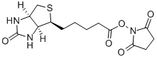 NHS-Biotin