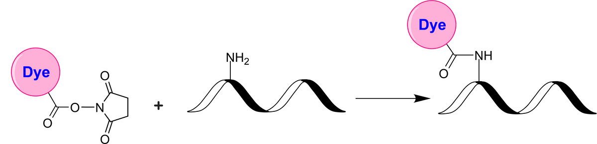 XFD514 NHS Ester - AAT Bioquest