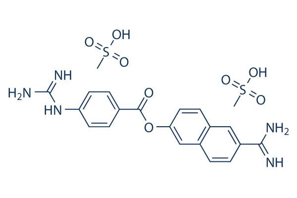 Nafamostat Mesylate