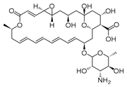 Natamycin