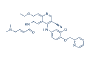Neratinib chemical structure