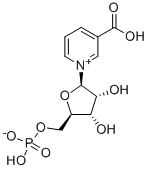 Nicotinic acid mononucleotide