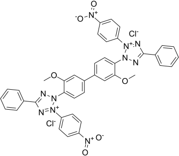 Nitro blue tetrazolium chloride