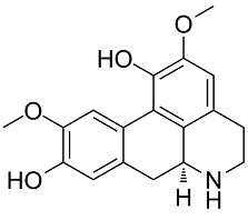 Norisoboldine